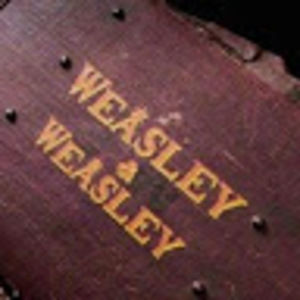 Meet your Posher, Sophia spanik